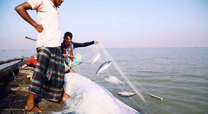 ৭ অক্টোবর থেকে ২২ দিন ইলিশ ধরা নিষেধ